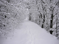 Neu